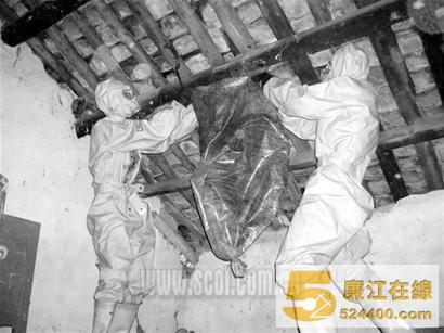消防官兵清除蜂窝